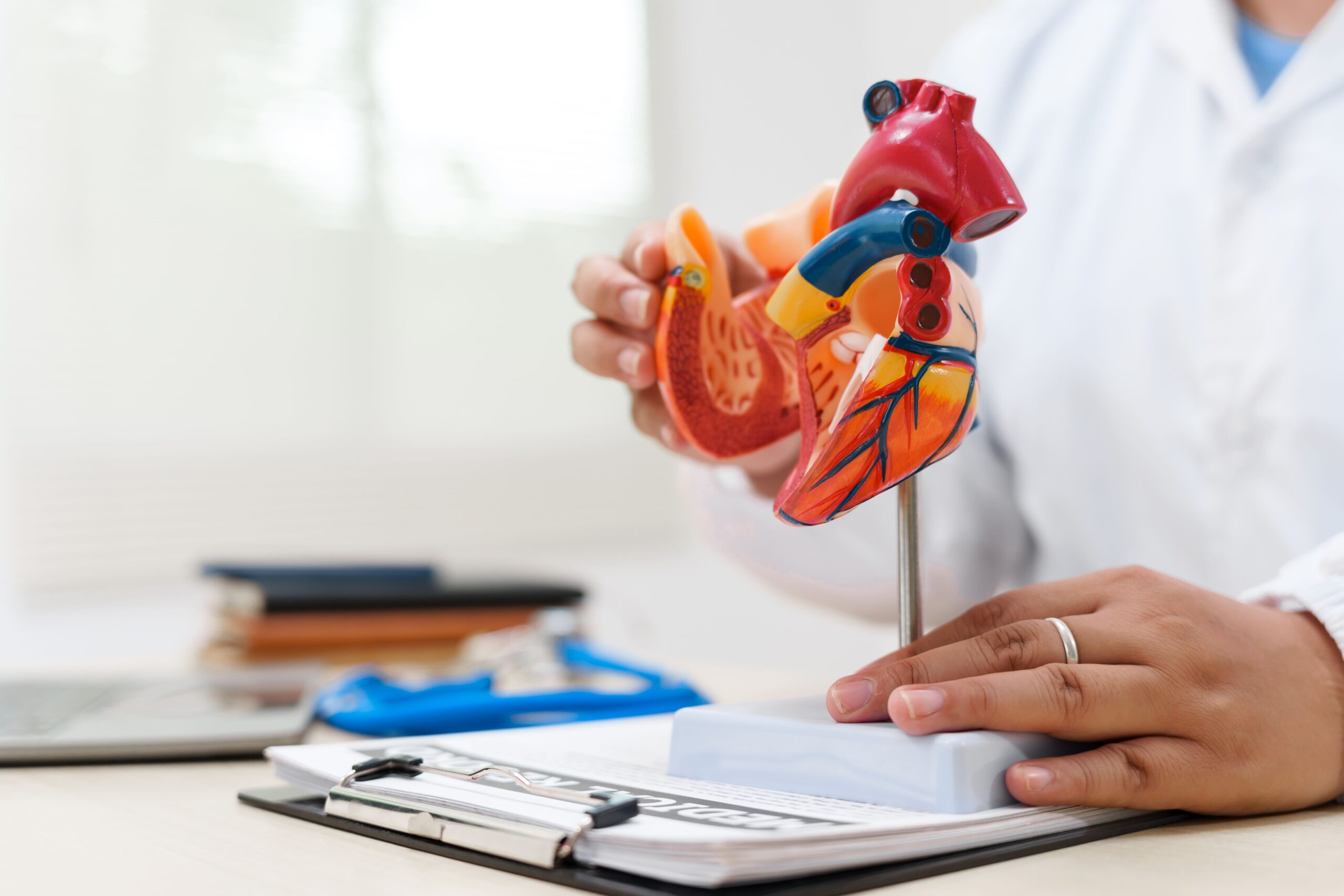 Image a cardiologist uses a heart model to demonstrate t 2026 01 08 22 38 04 utc
